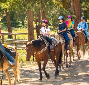 Horse riding